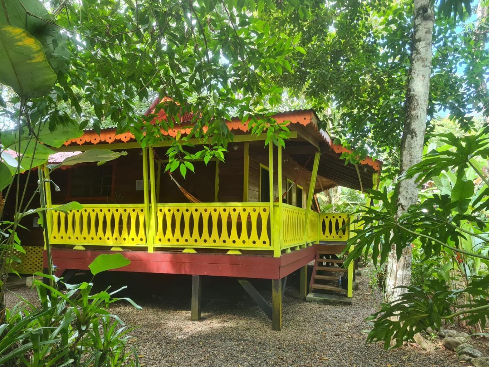 El Jardin De Playa Negra Vila Puerto Viejo de Talamanca Exterior foto