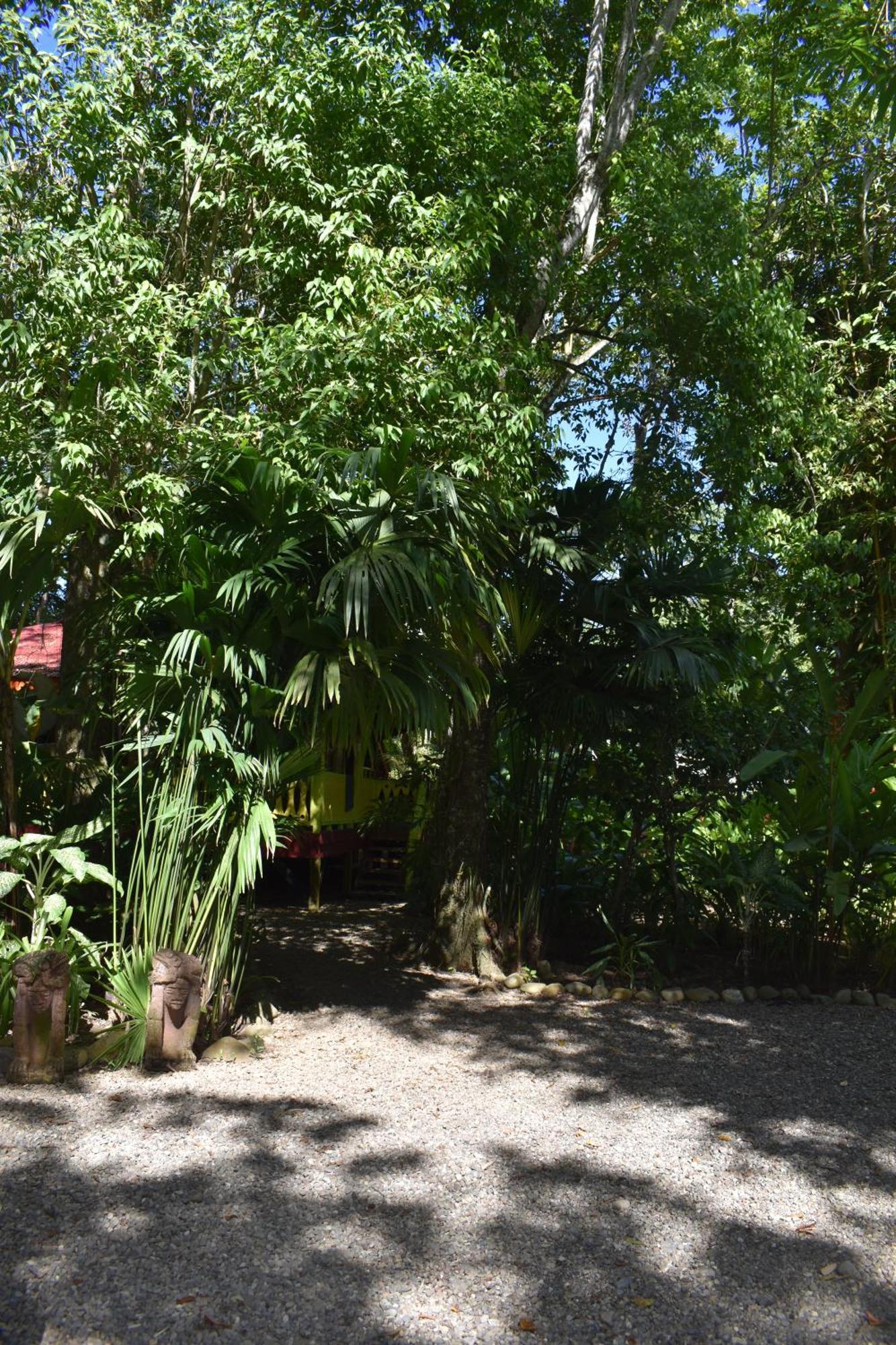 El Jardin De Playa Negra Vila Puerto Viejo de Talamanca Exterior foto