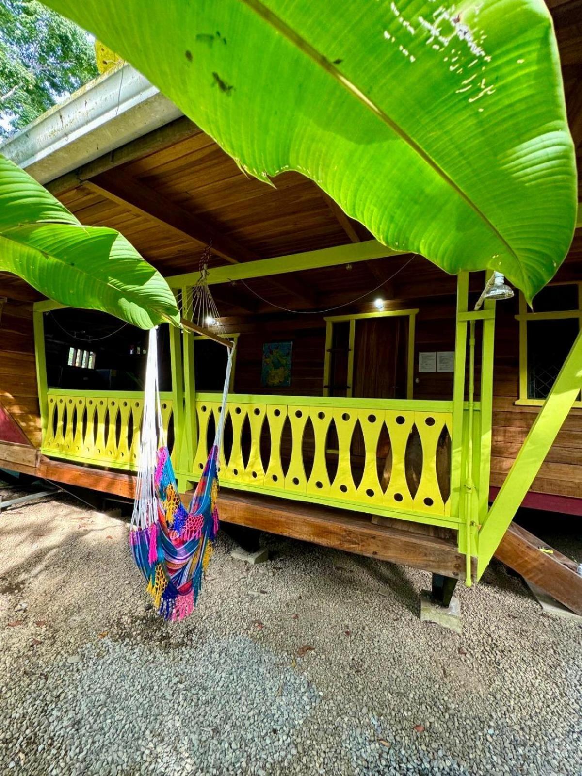 El Jardin De Playa Negra Vila Puerto Viejo de Talamanca Exterior foto
