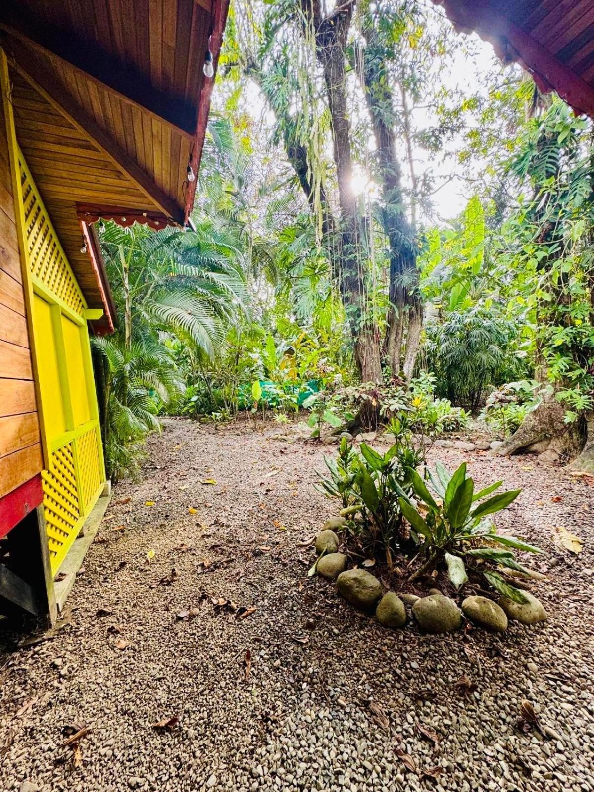 El Jardin De Playa Negra Vila Puerto Viejo de Talamanca Exterior foto