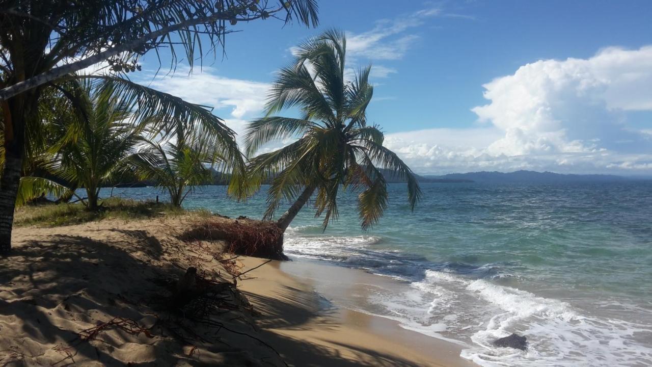 El Jardin De Playa Negra Vila Puerto Viejo de Talamanca Exterior foto