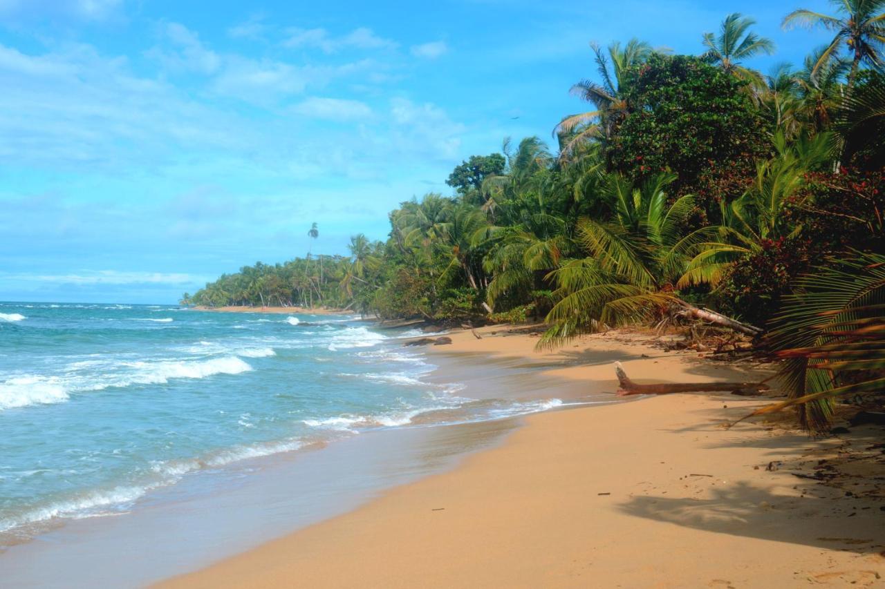 El Jardin De Playa Negra Vila Puerto Viejo de Talamanca Exterior foto